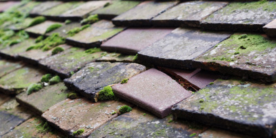 Eldersfield roof repair costs